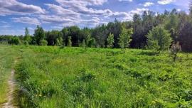 Продажа коммерческой, Арзамас