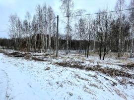 , Нижегородская область