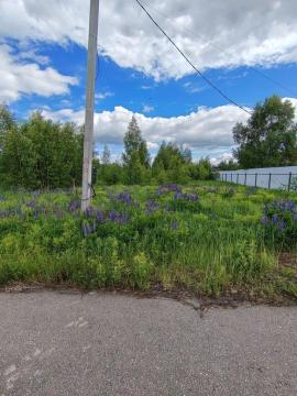 , Нижегородская область