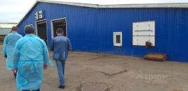 Продажа коммерческой, Нижний Новгород