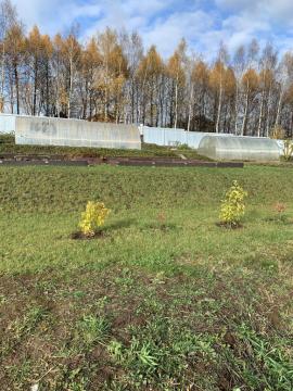 , Нижегородская область