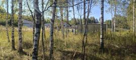 , Нижегородская область