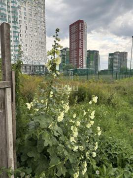 , Нижний Новгород