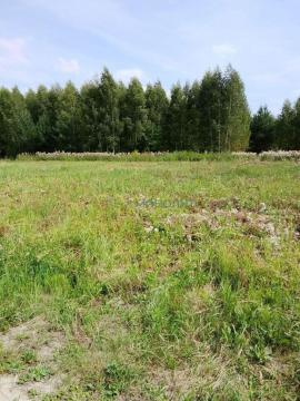 , Дзержинск