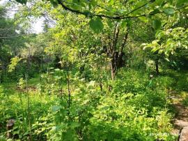 , Нижний Новгород